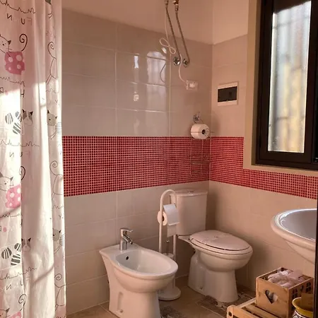 Vanedda لينتيني